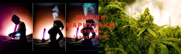 ПСИЛОЦИБИНОВЫЕ ГРИБЫ Артём