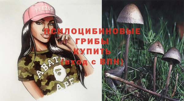 кокаин перу Вяземский